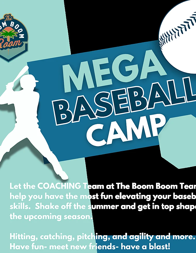 Mega Baseball Camp graphic