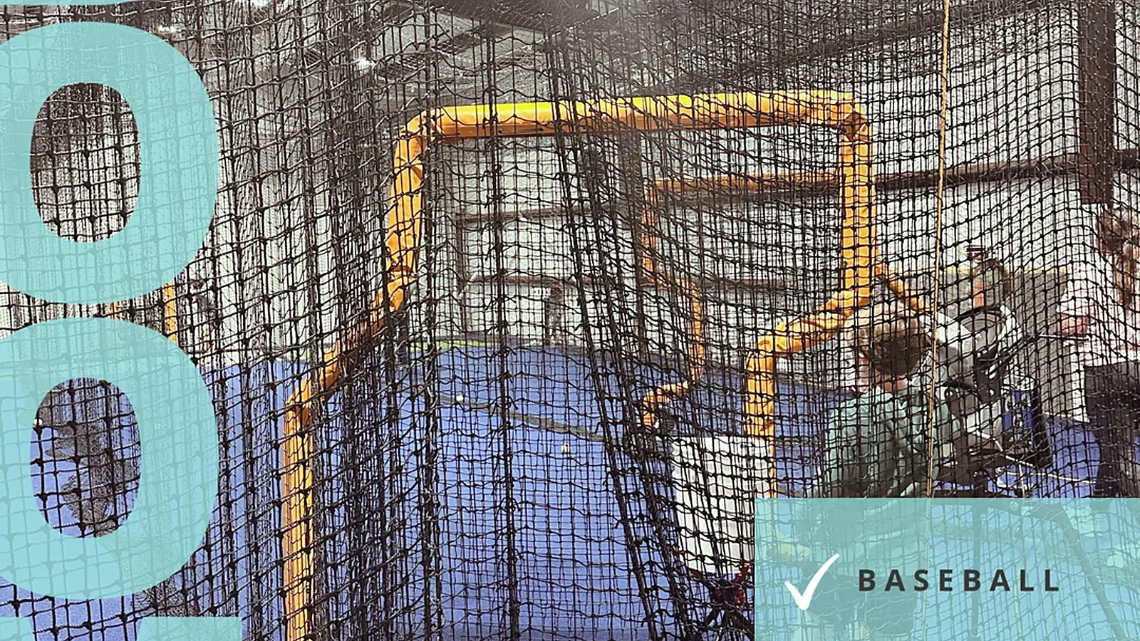 Baseball Lessons and Hitting Instruction on 30A